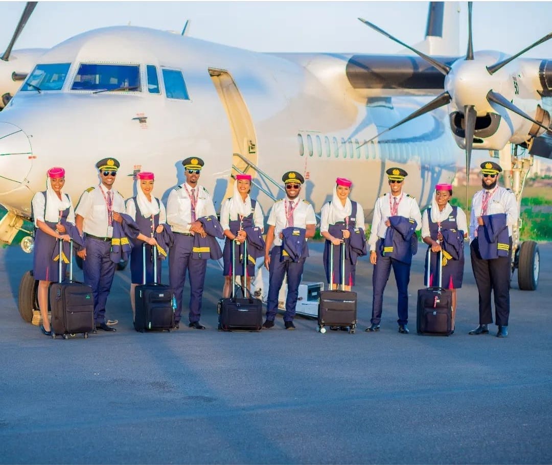 Meet Our Team